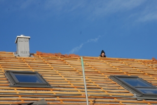 Auch die Dachfenster sind drin.