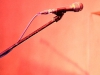 LLnull14_019